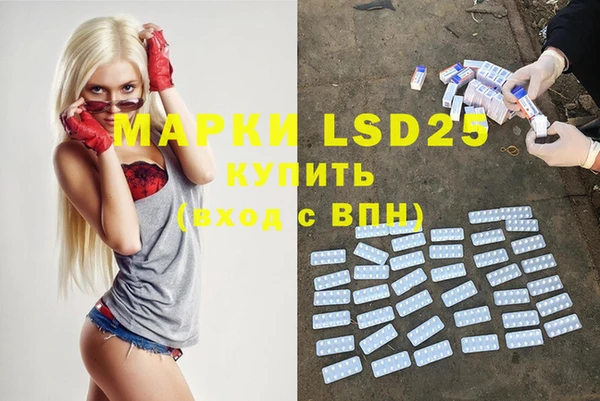 spice Богородицк