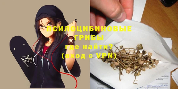 2c-b Богородск