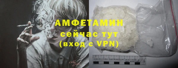 spice Богородицк