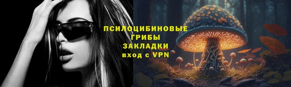 прущая мука Богданович