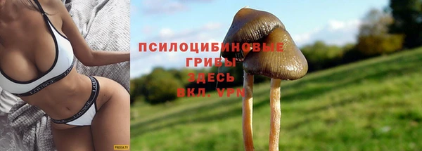 spice Богородицк