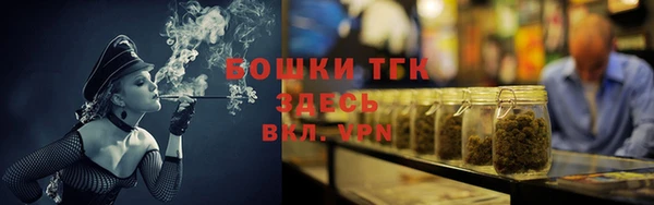 spice Богородицк