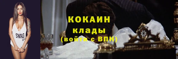 spice Богородицк
