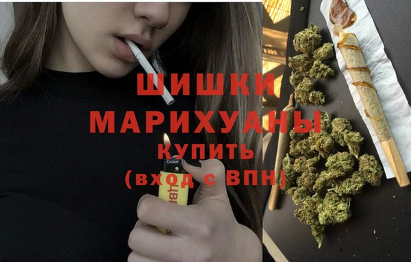 2c-b Богородск