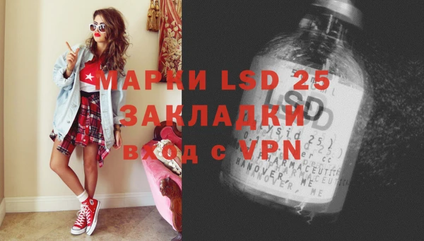 spice Богородицк