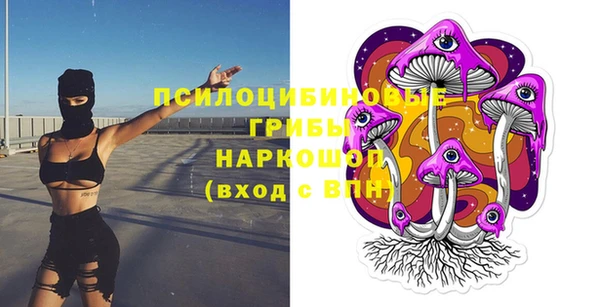 2c-b Богородск