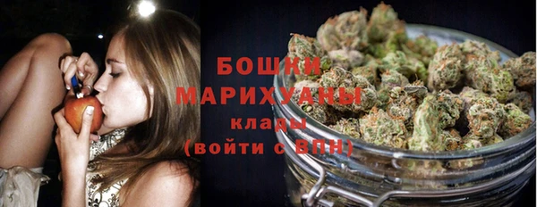 spice Богородицк