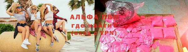 spice Богородицк