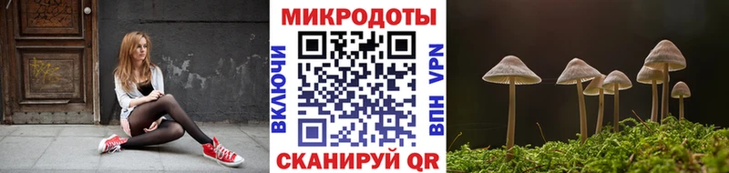 Галлюциногенные грибы мухоморы Тольятти
